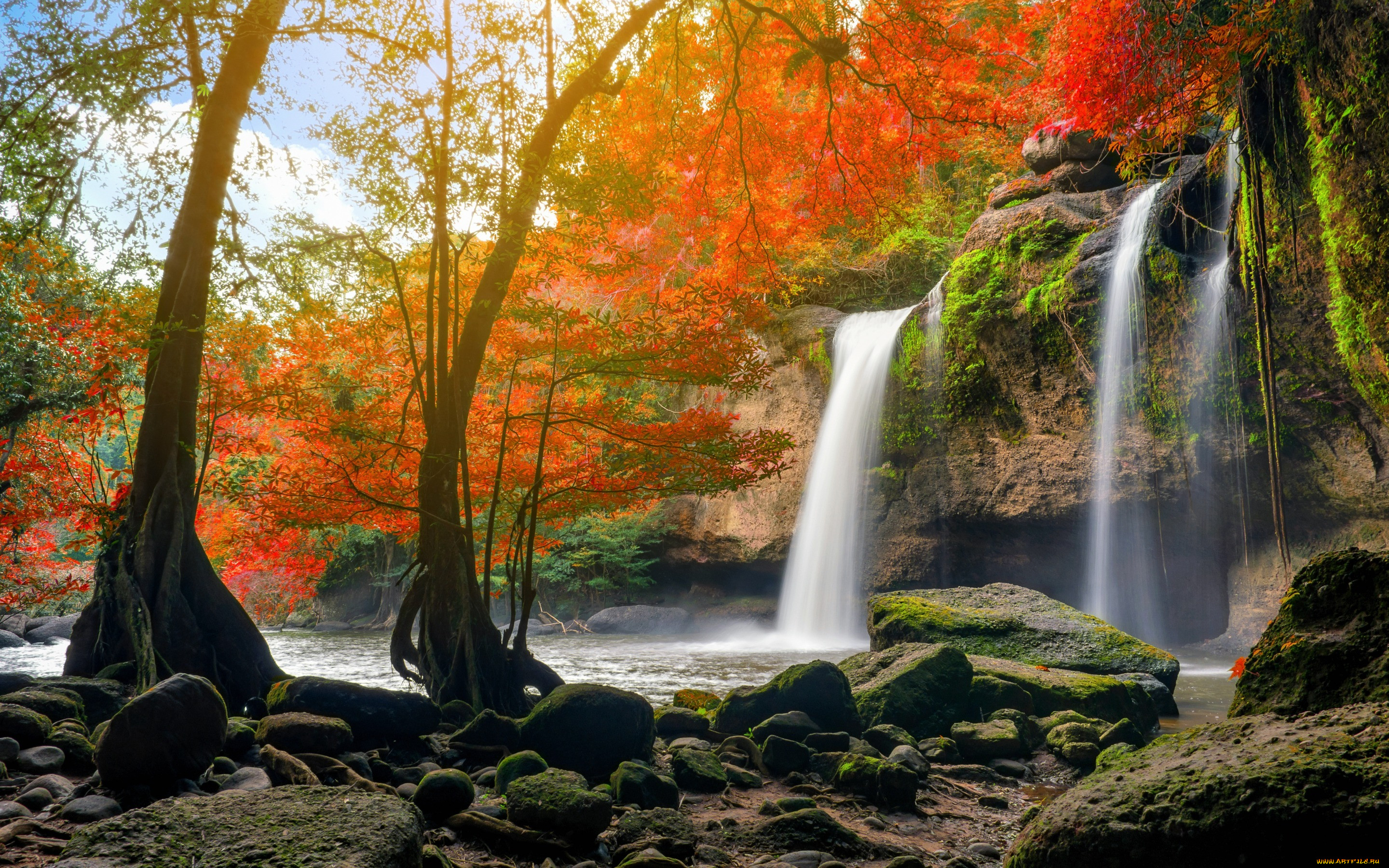 , , , autumn, waterfall, , , , , , beautiful, nature, river, forest